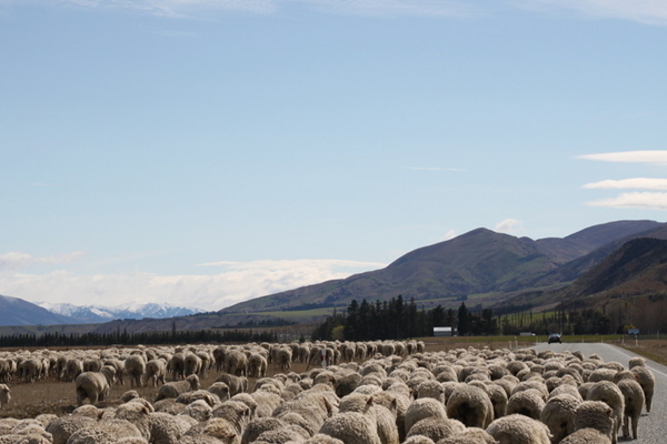 印度、尼泊爾10日