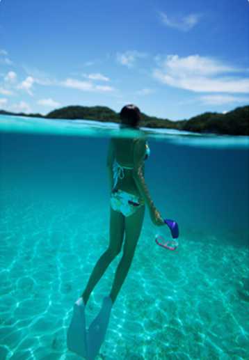 南太平洋--帕勞5晚6天自由行<機票の酒店>