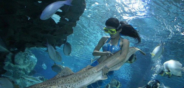 北京28人純玩0自費(fèi)<不帶銀兩游京城>3晚4日?第