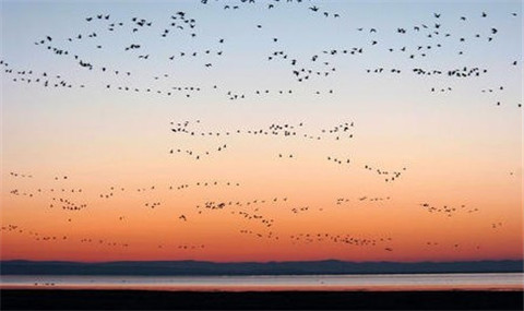 D:內蒙古赤峰、達里湖、蒙古風情園、阿斯哈圖石