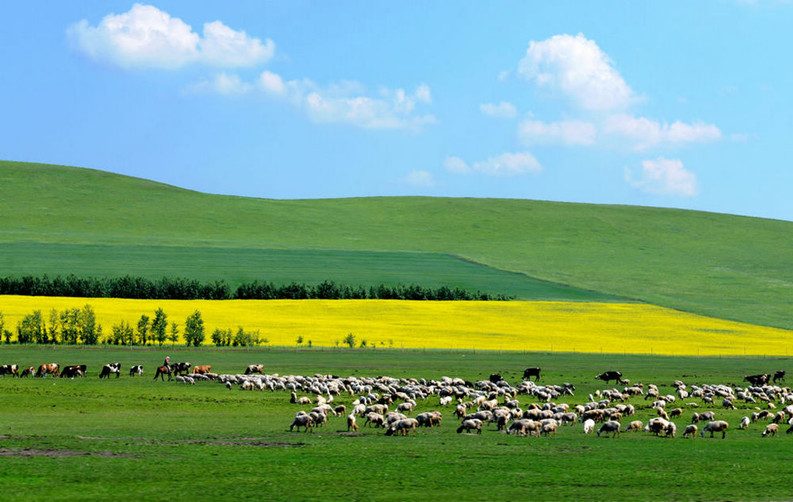 純玩德法意瑞12天