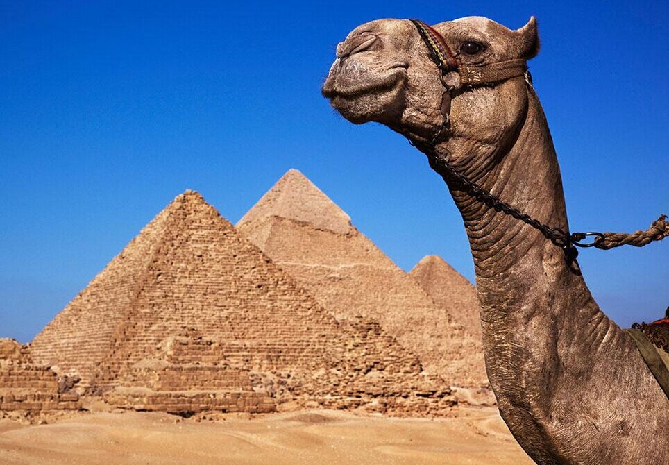 埃及、迪拜、阿布扎比10天