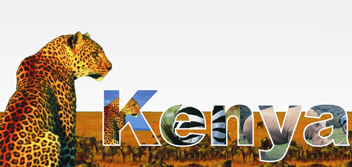 肯尼亞全景10日遷徙之旅