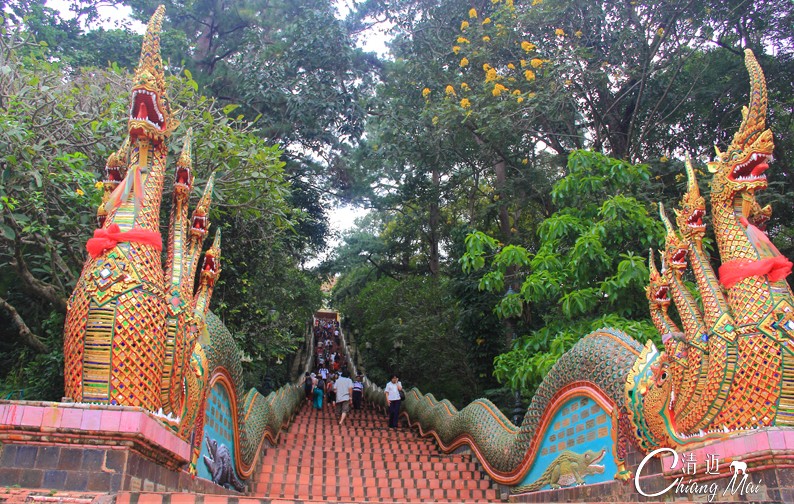 曼谷、普吉島、清邁8晚9日**當(dāng)?shù)?星酒店**