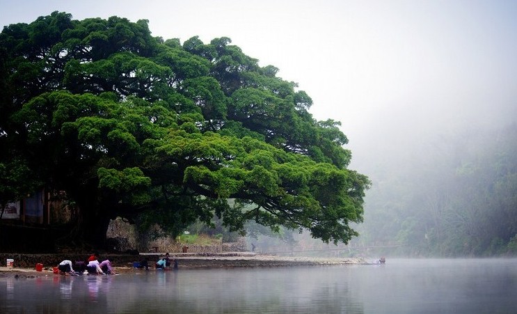 廈門鼓浪嶼、南靖云水謠土樓、船游金門、集美