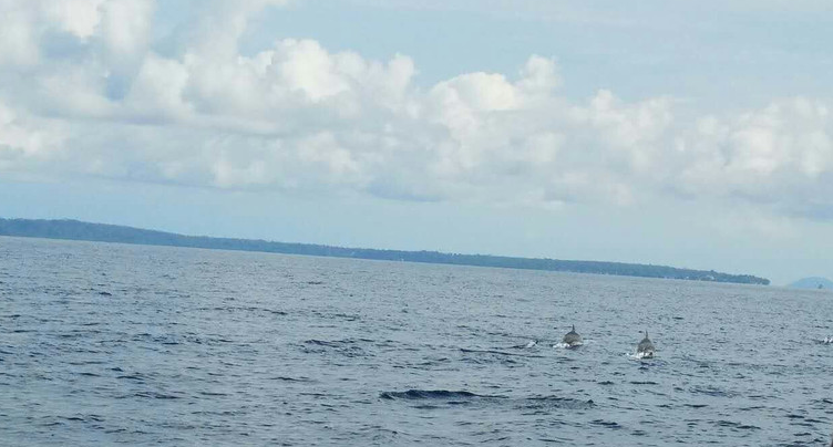 美娜多4晚5天**4晚海邊5星酒店【一價(jià)全含】