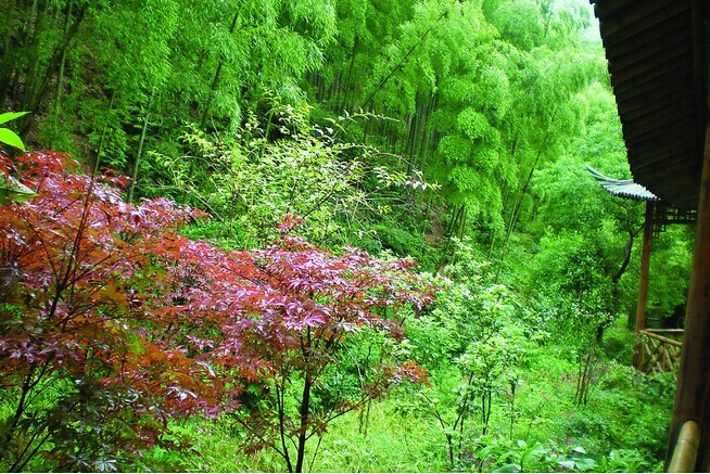 純玩-攝影團:三星純玩.夜宿翡翠人家 屯溪H9-1：黃