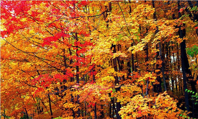 純玩-攝影團:夜色翡翠人家 千島湖農(nóng)家酒店H8-2：