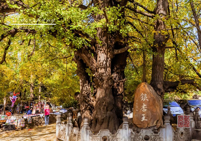 保山、騰沖、怒江雙飛5日