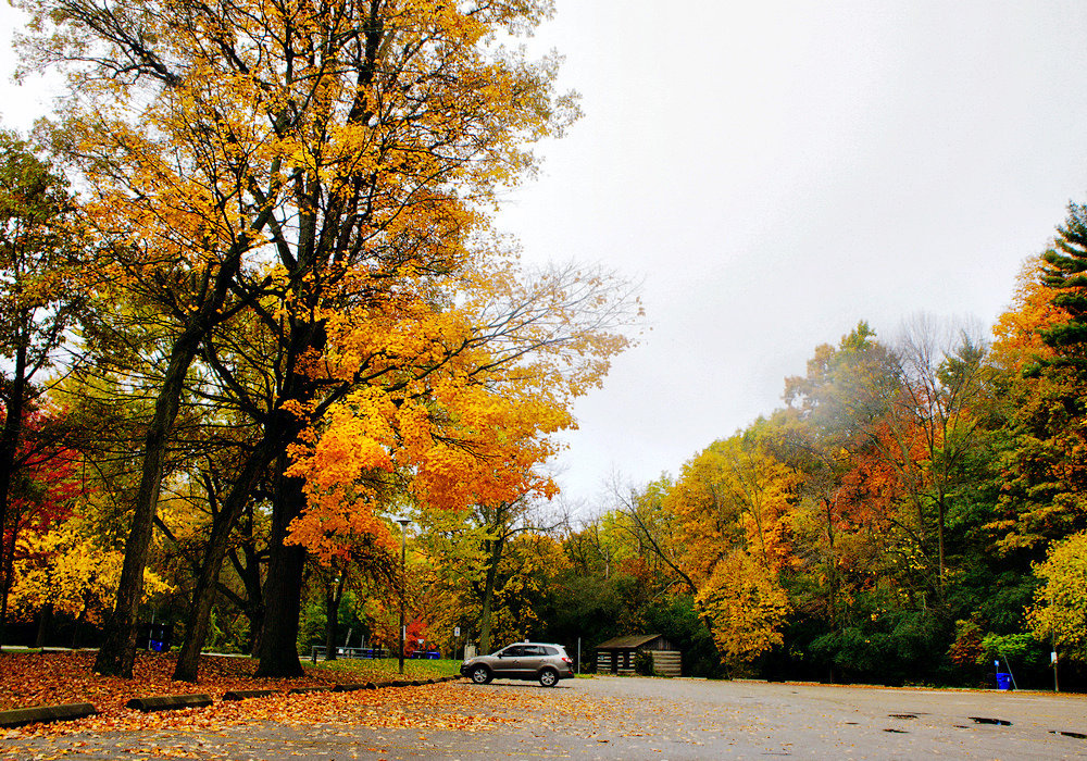 美加墨深度 北美三大湖區(qū) 黃石4大公園23日游